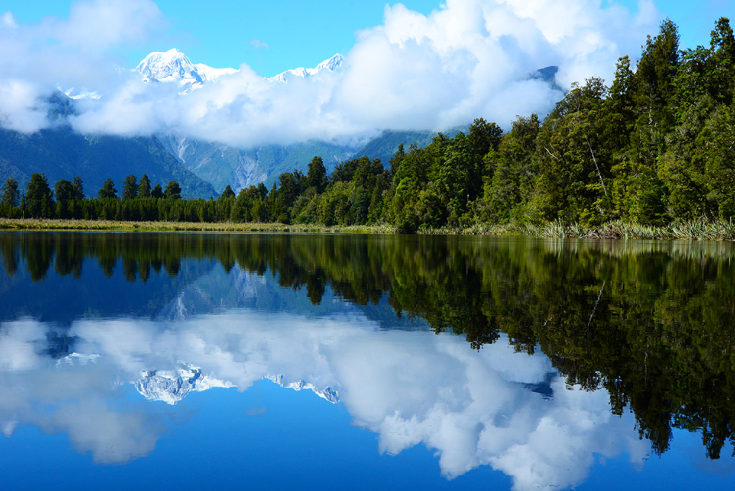 Lake Matheson, New Zealand Photo by Carrie Morgan Glassman